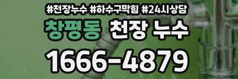 창평동 천장 누수