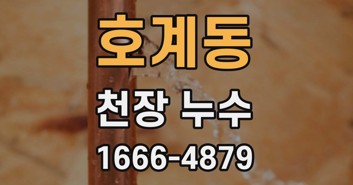 호계동 천장 누수