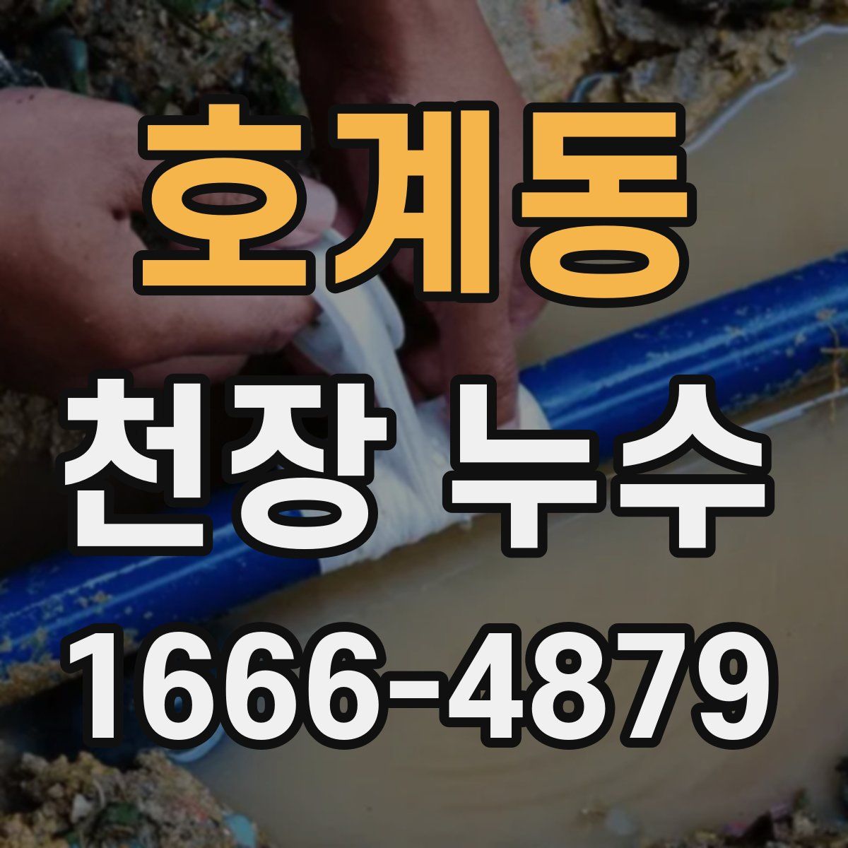 호계동 천장 누수