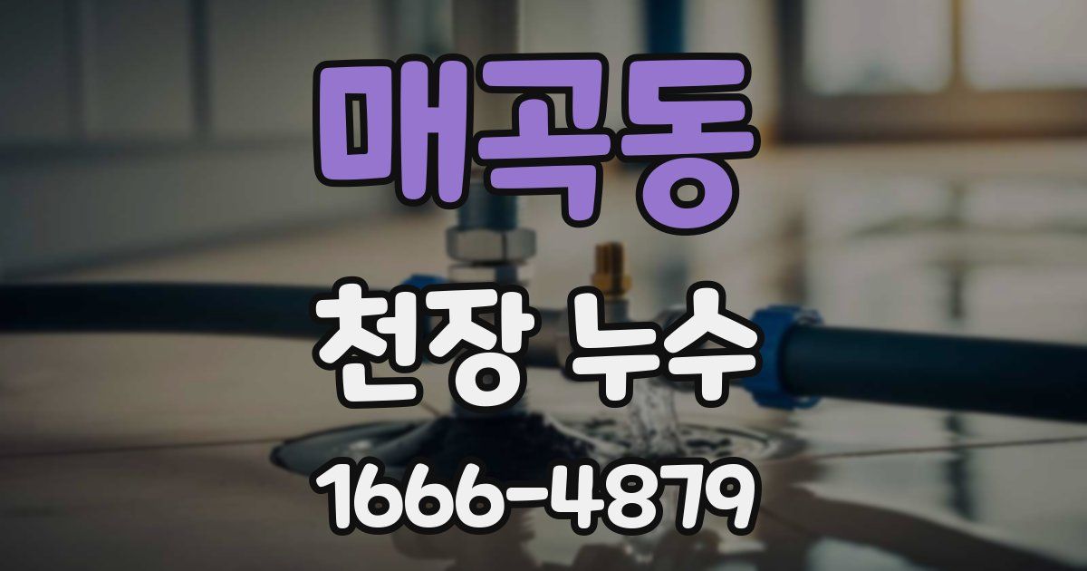 매곡동 천장 누수