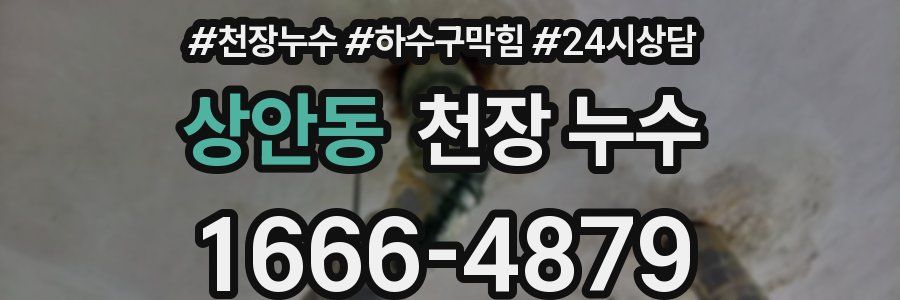 상안동 천장 누수