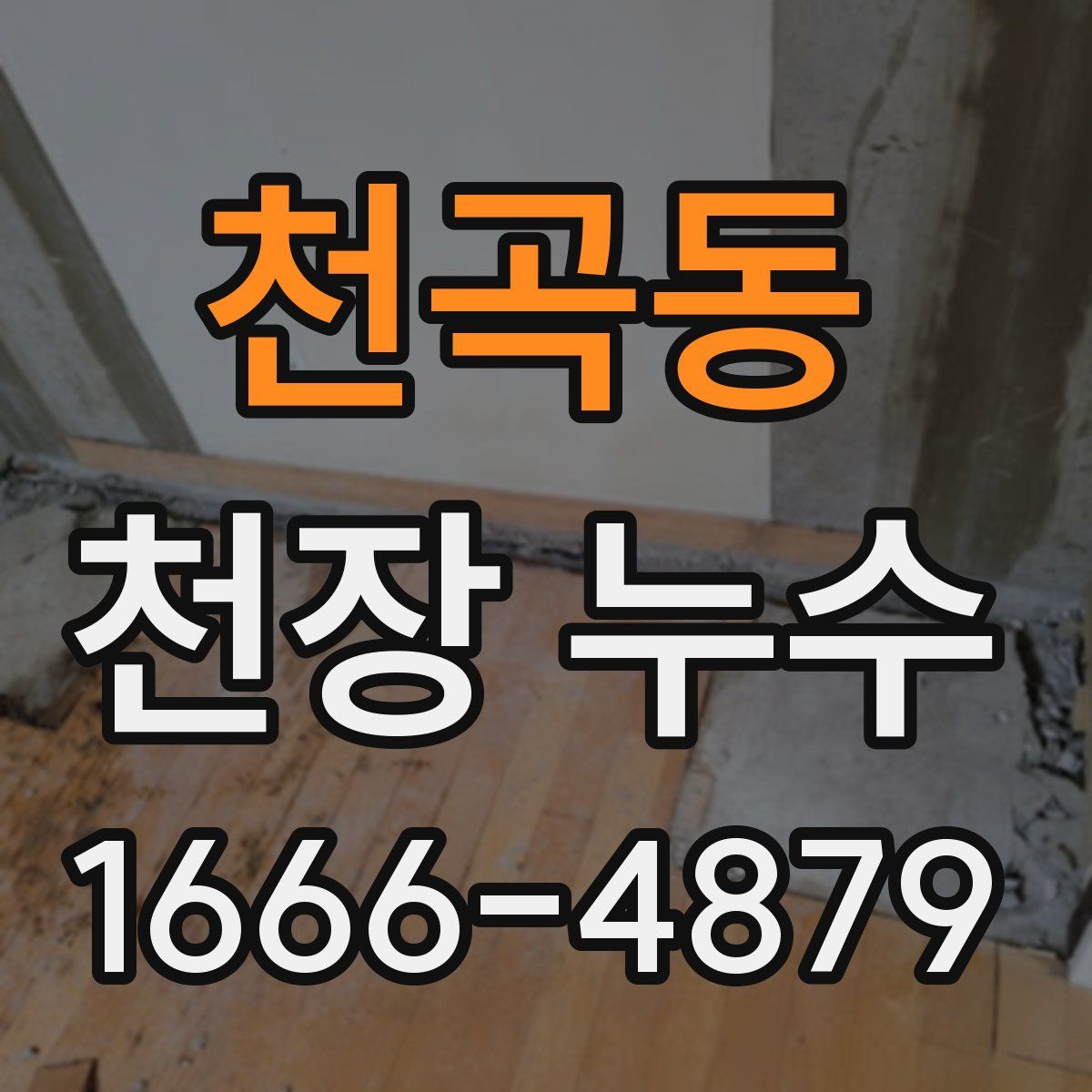 천곡동 천장 누수