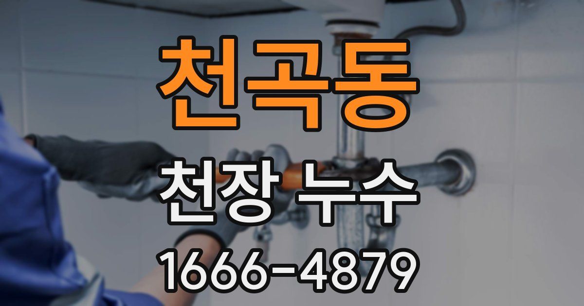 천곡동 천장 누수