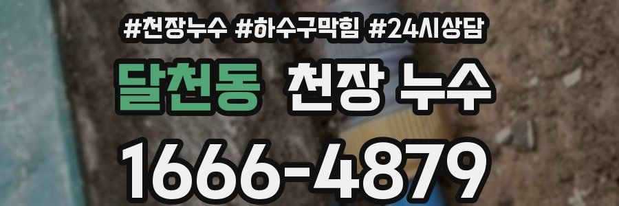 달천동 천장 누수