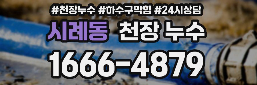 시례동 천장 누수