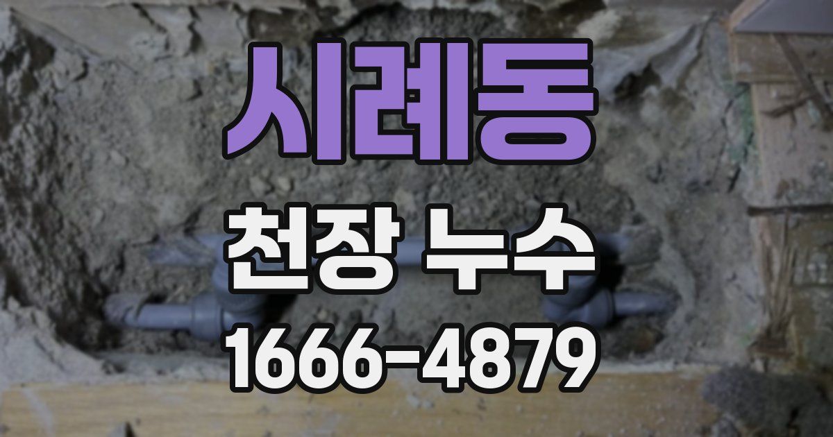 시례동 천장 누수