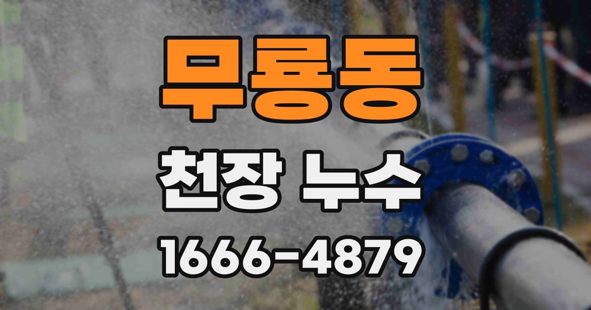 무룡동 천장 누수