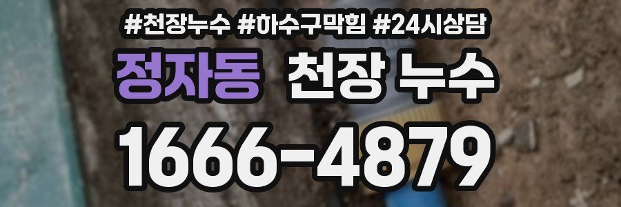 정자동 천장 누수