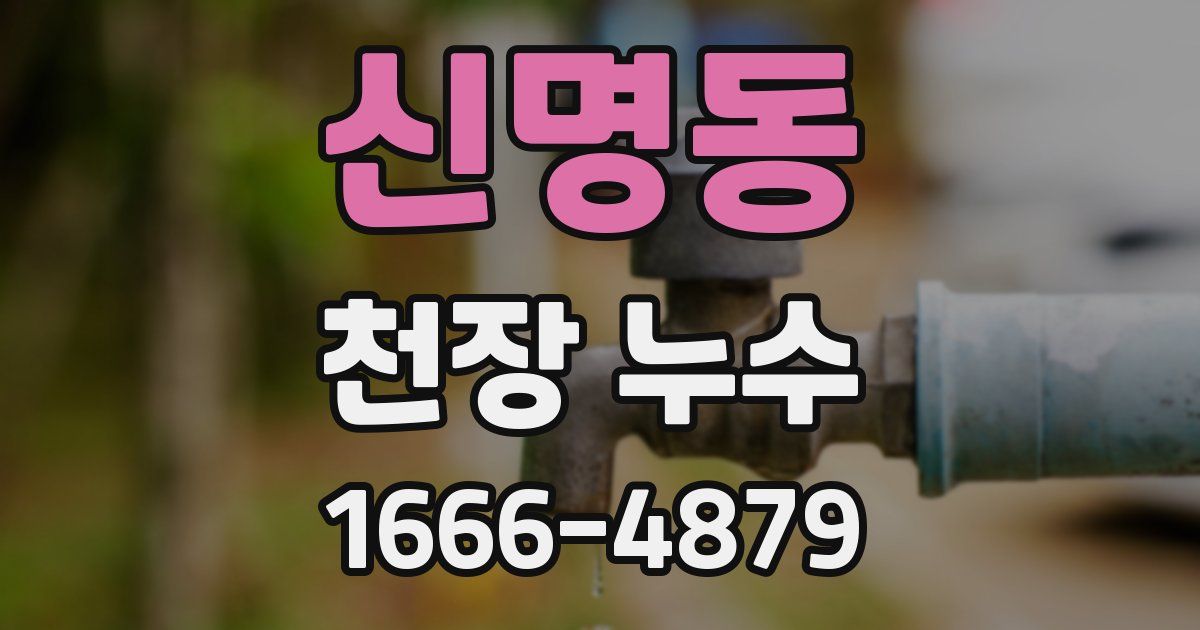 신명동 천장 누수