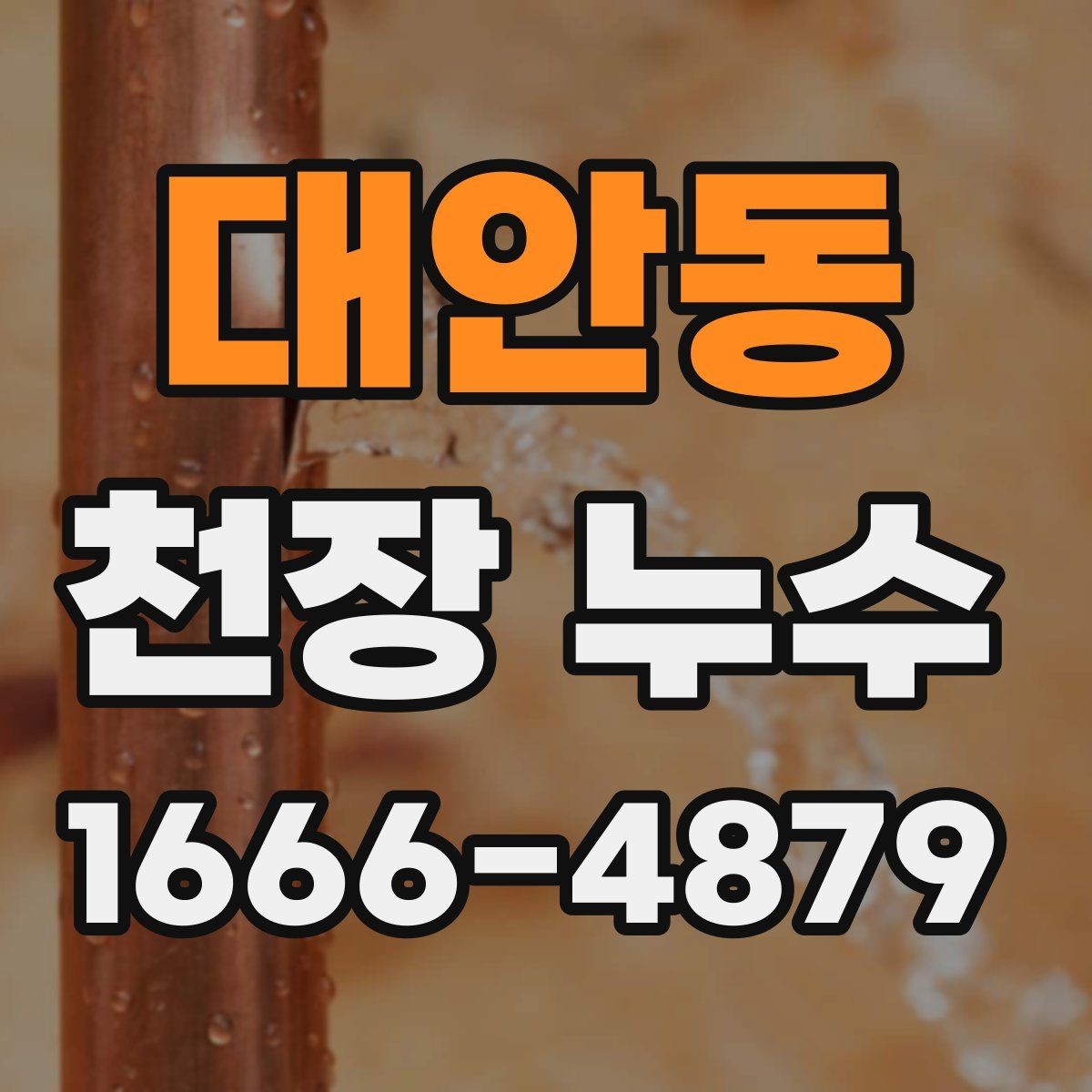 대안동 천장 누수 천장에 물이 고이는 느낌이 들면 즉시 점검