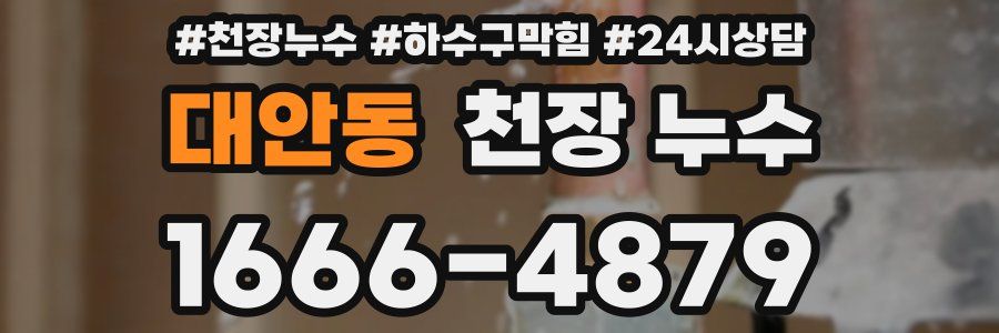 대안동 천장 누수