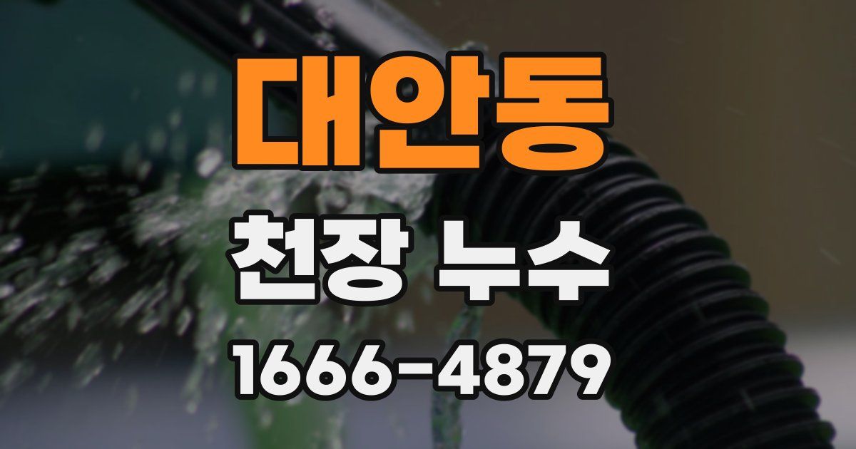 대안동 천장 누수