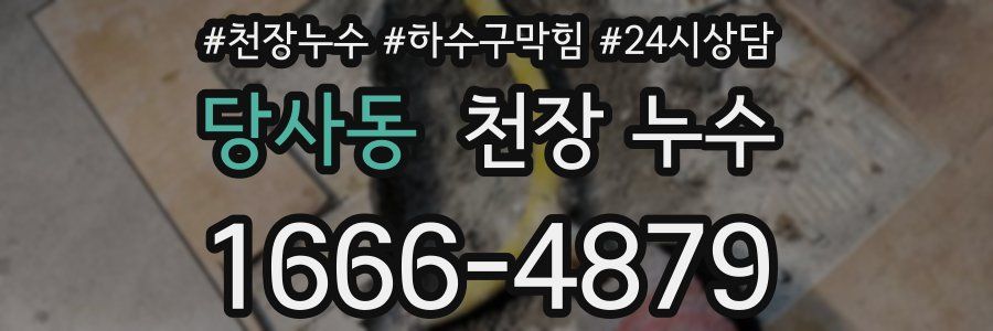 당사동 천장 누수