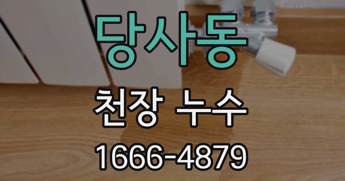 당사동 천장 누수