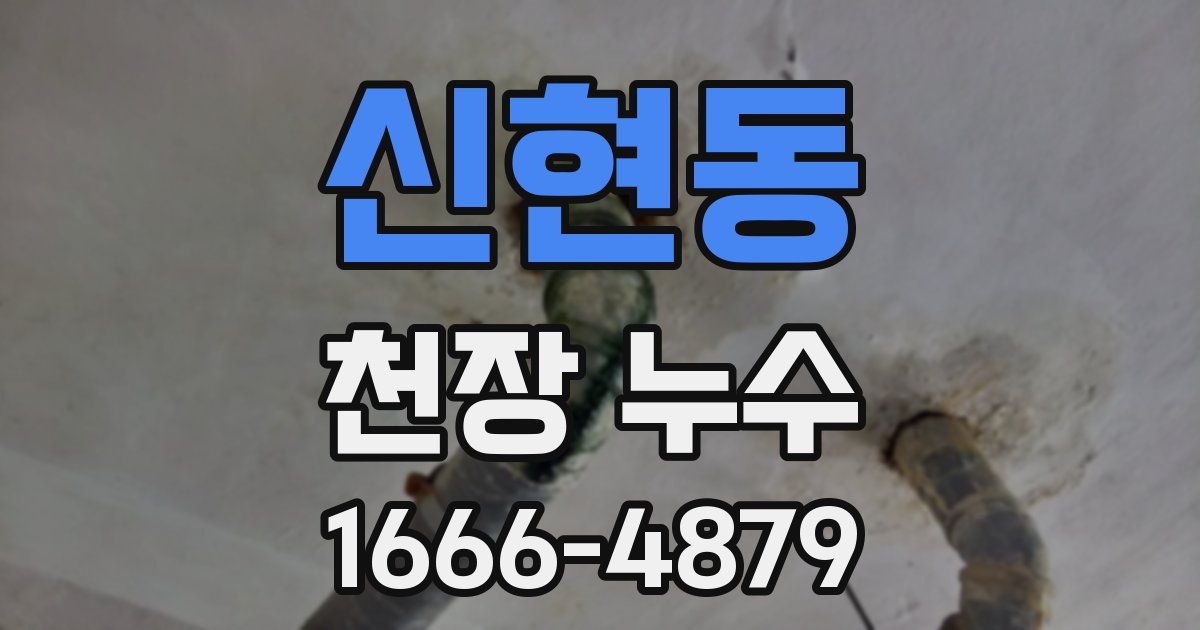 신현동 천장 누수