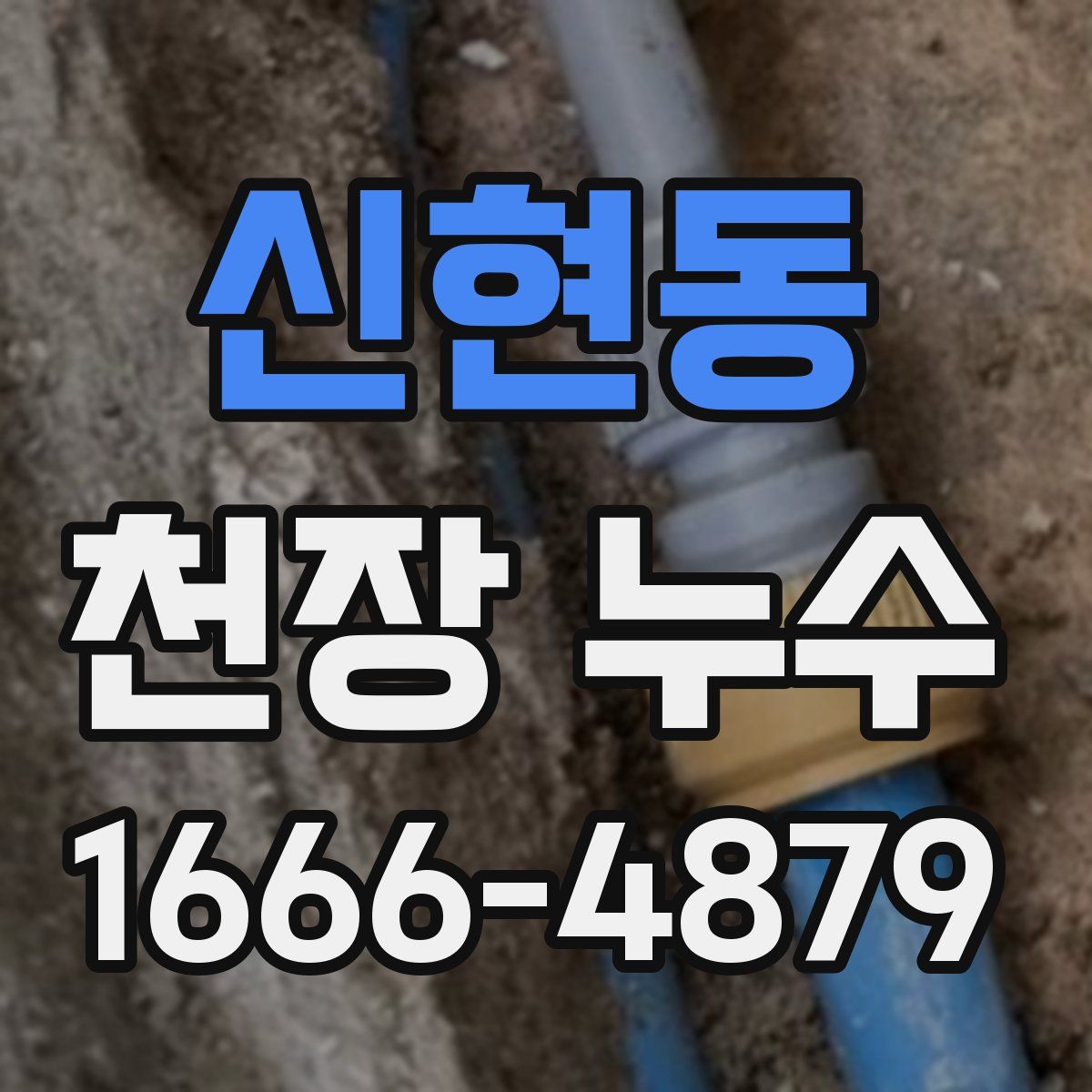 신현동 천장 누수