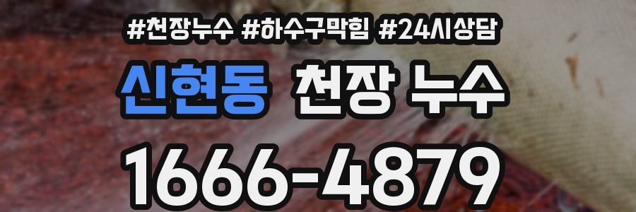 신현동 천장 누수