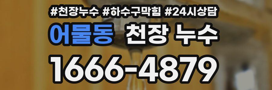 어물동 천장 누수