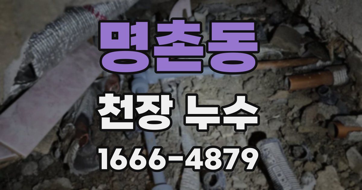 명촌동 천장 누수