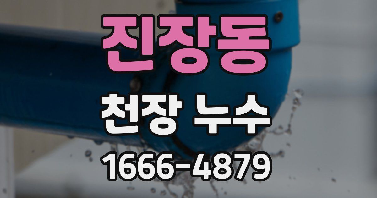 진장동 천장 누수