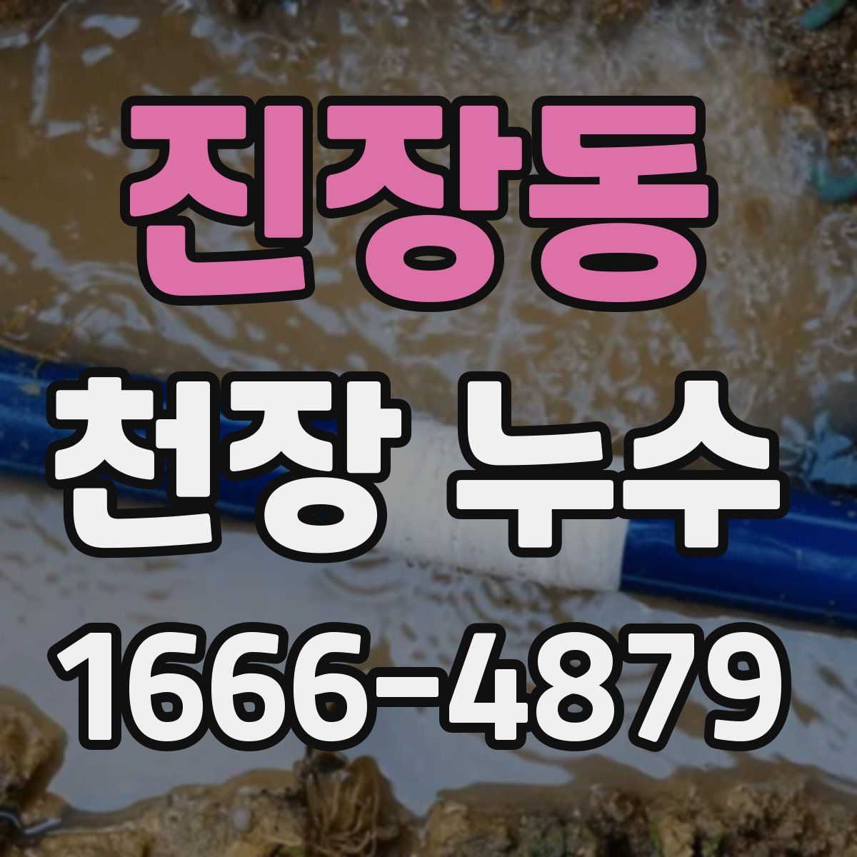 진장동 천장 누수