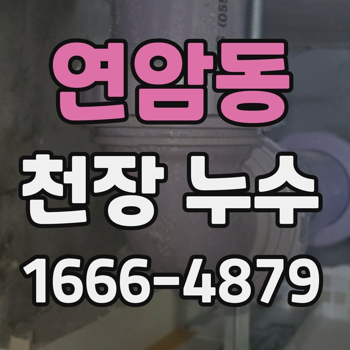 연암동 천장 누수 마른 얼룩 위로 다시 젖음이 생기면 재발 의심