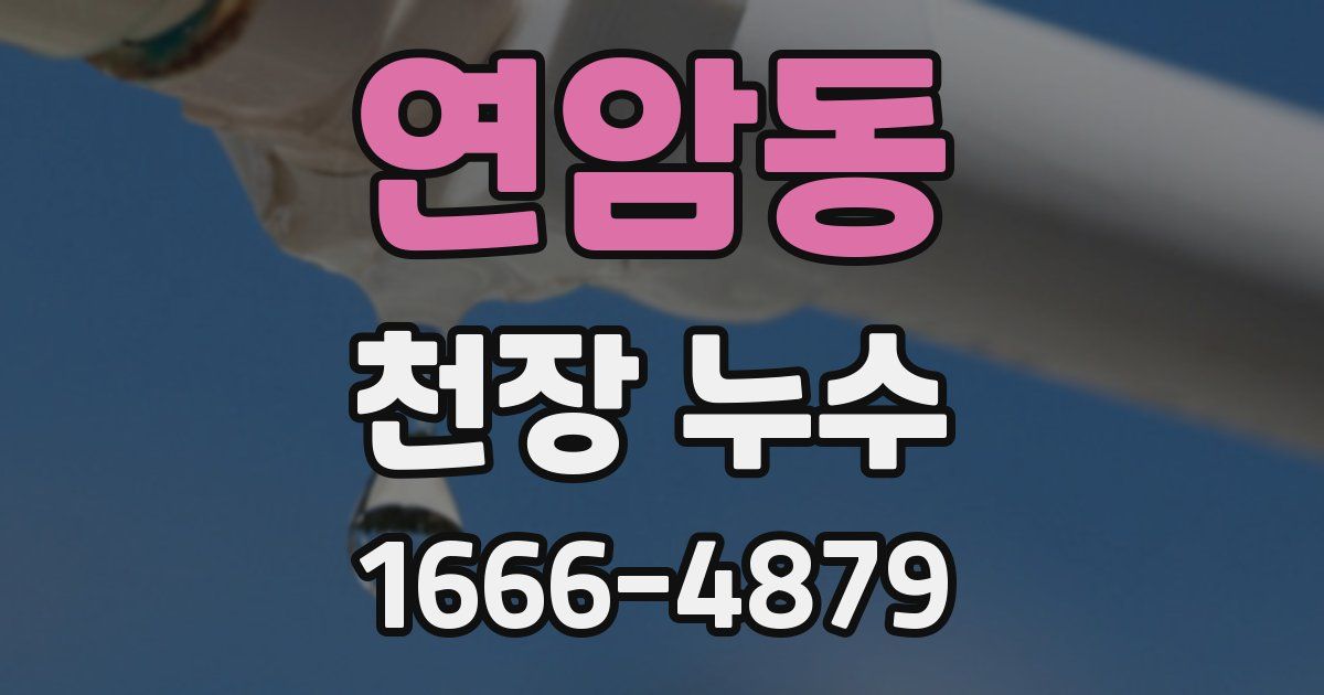 연암동 천장 누수