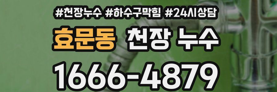 효문동 천장 누수