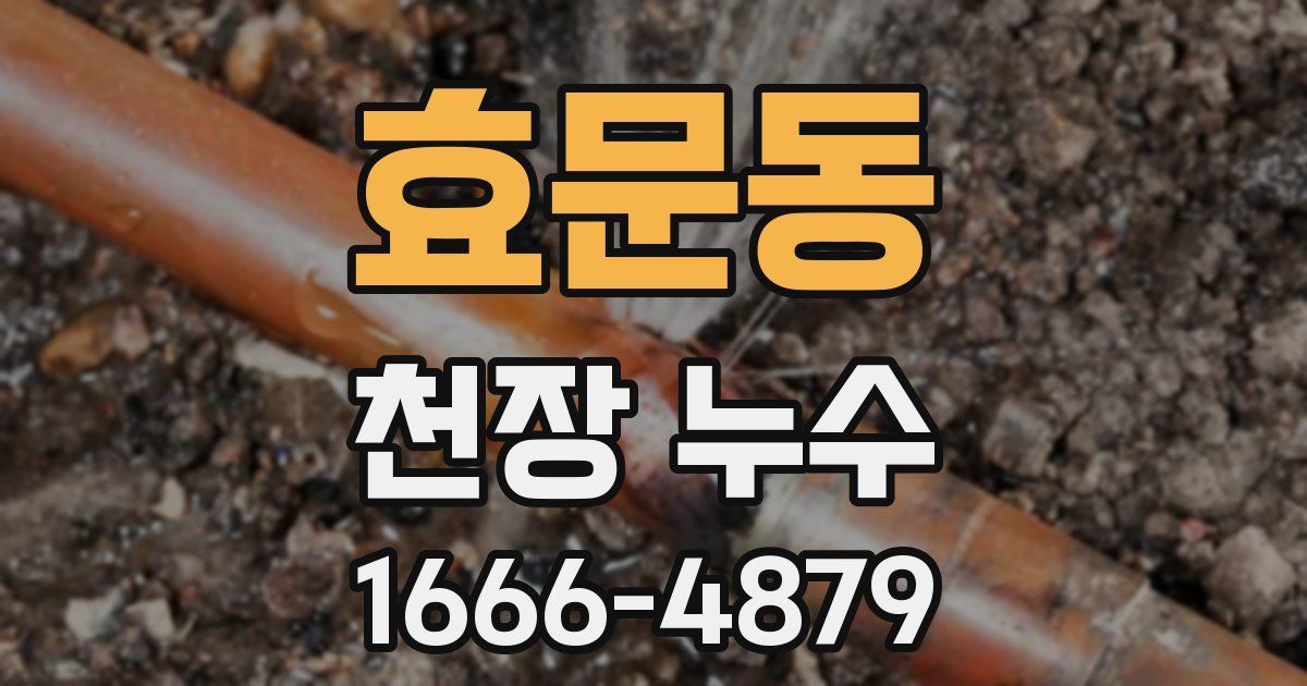 효문동 천장 누수