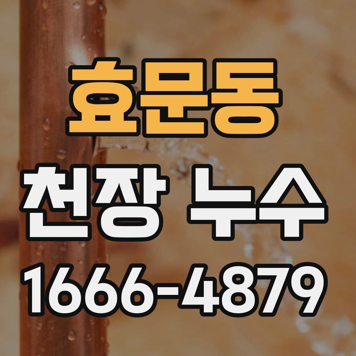 효문동 천장 누수