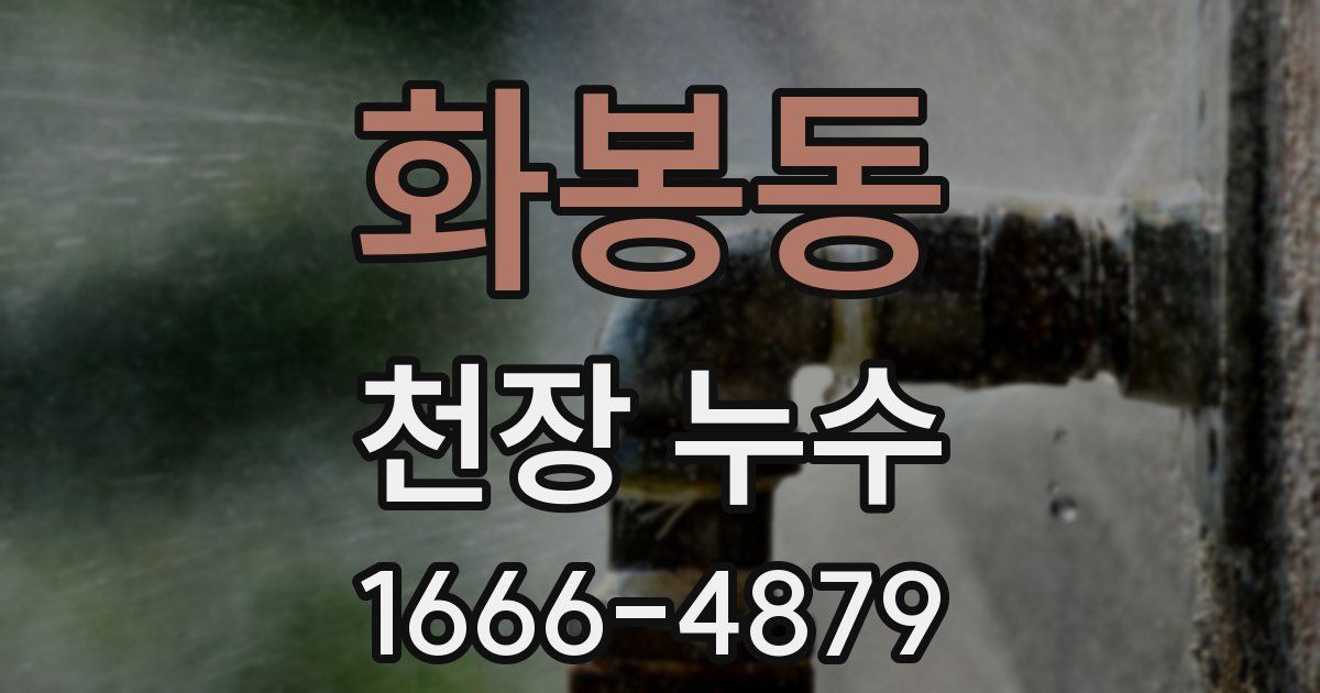 화봉동 천장 누수