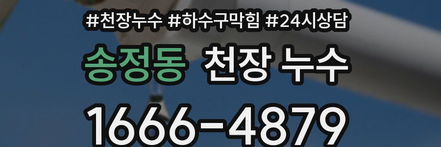 송정동 천장 누수