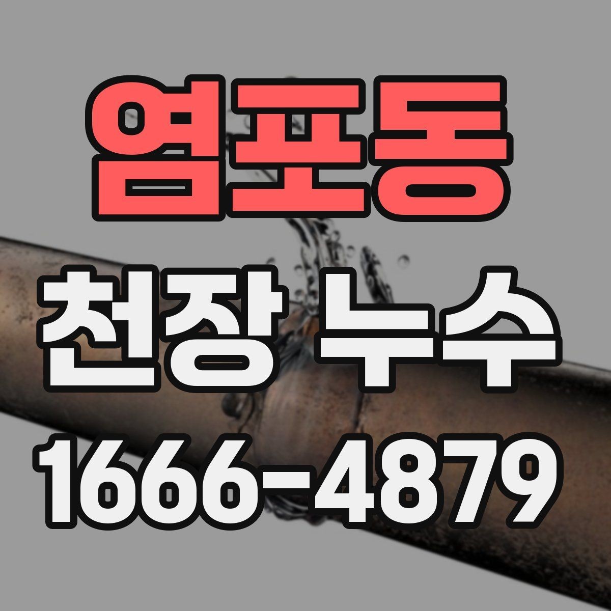 염포동 천장 누수 욕실 줄눈 문제로 천장이 젖는 경우