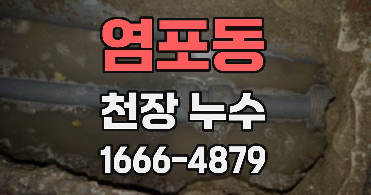 염포동 천장 누수