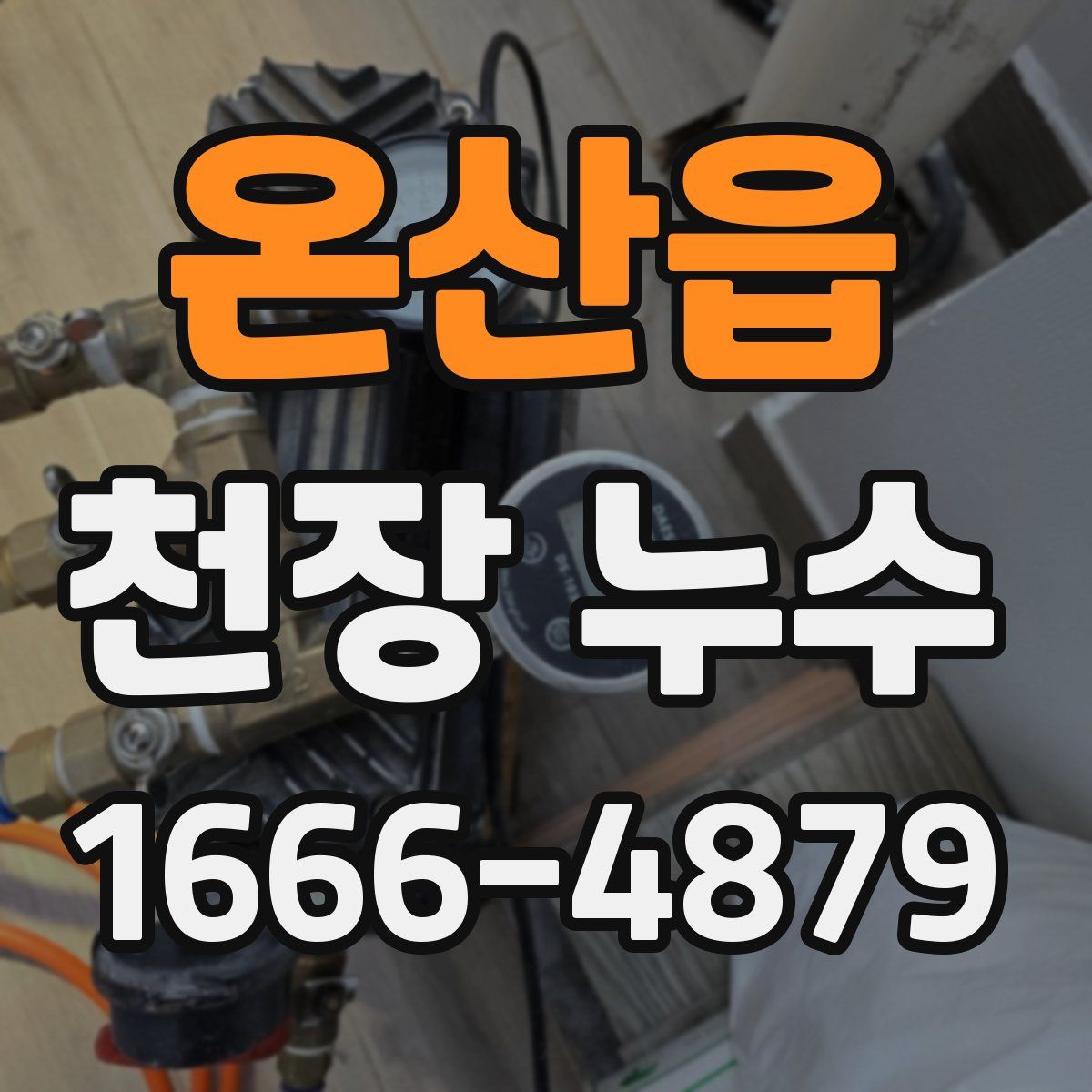 온산읍 천장 누수