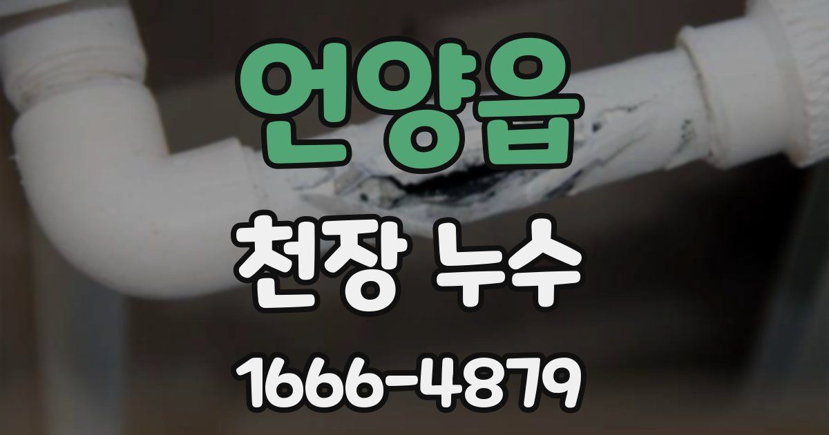 언양읍 천장 누수