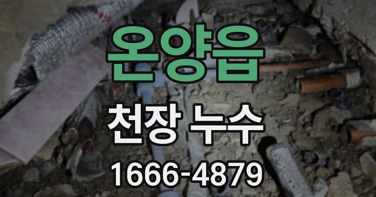 온양읍 천장 누수