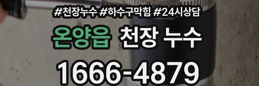 온양읍 천장 누수