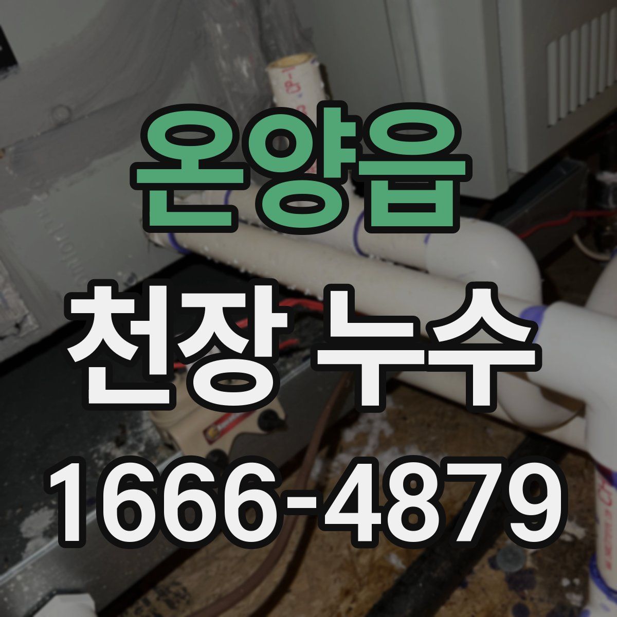 온양읍 천장 누수