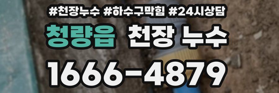 청량읍 천장 누수