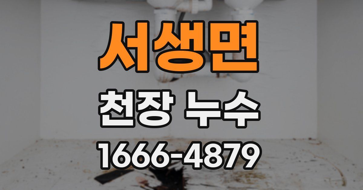 서생면 천장 누수