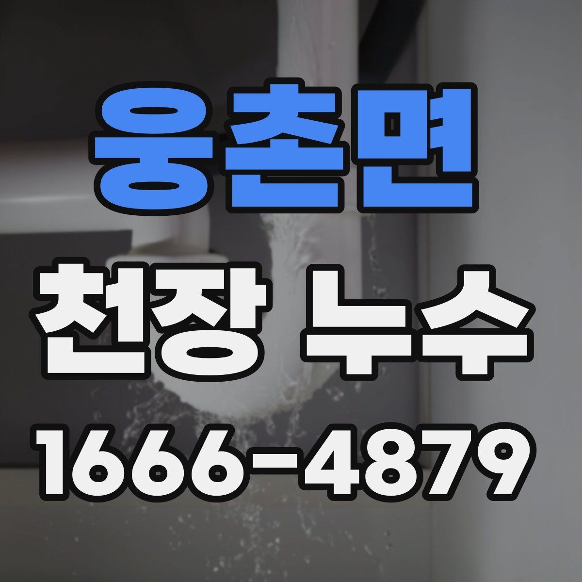 웅촌면 천장 누수 점검구 주변이 축축하면 위층 배관 가능성