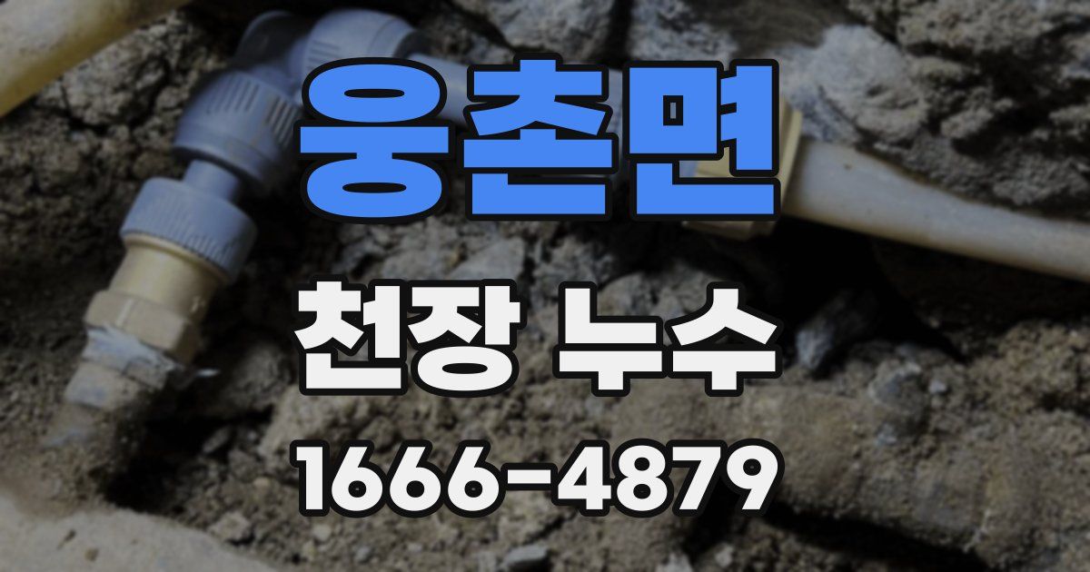 웅촌면 천장 누수