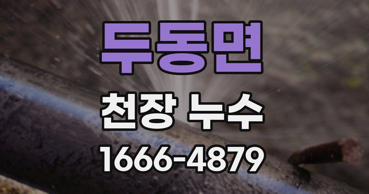 두동면 천장 누수