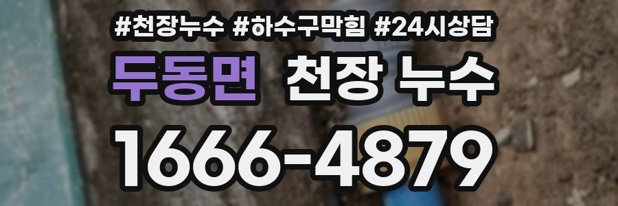 두동면 천장 누수