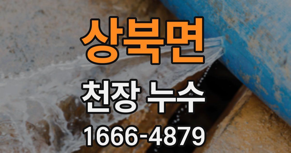 상북면 천장 누수