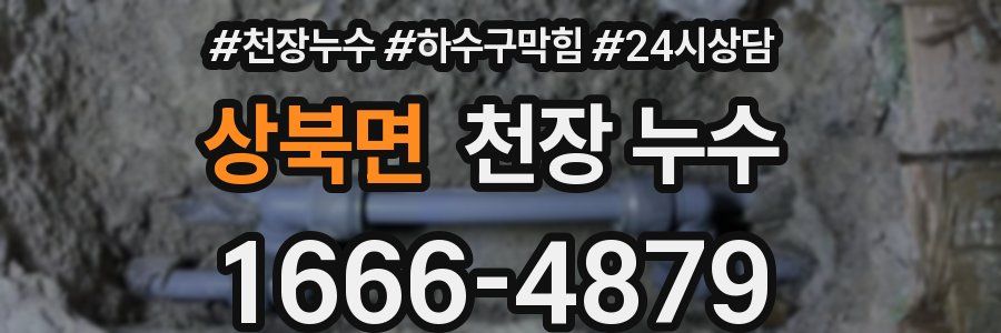 상북면 천장 누수