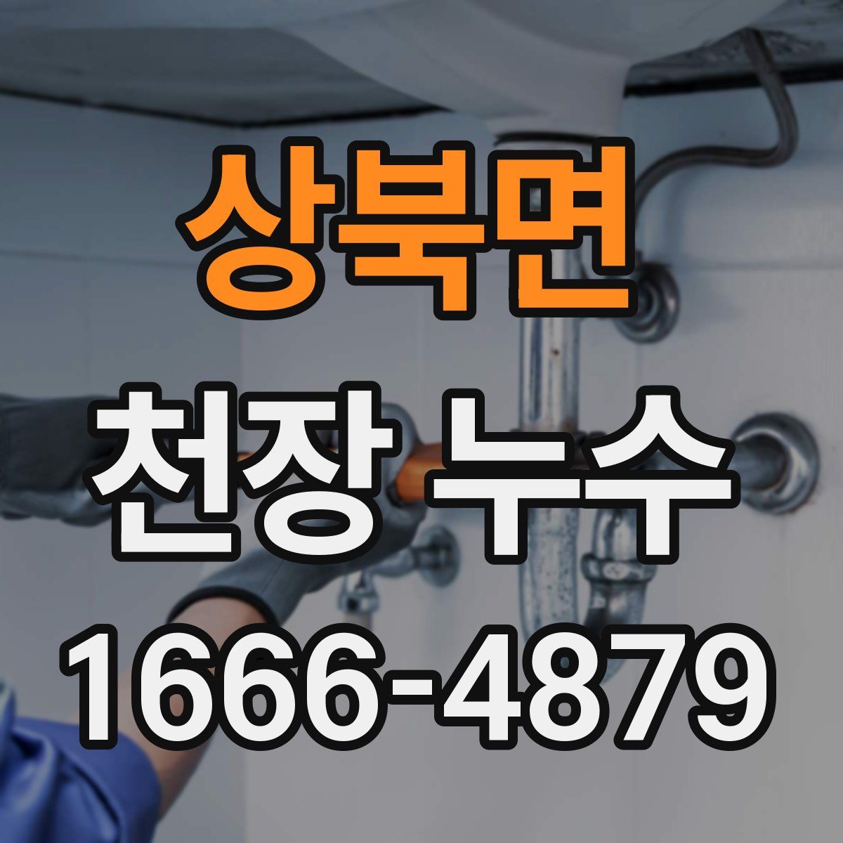 상북면 천장 누수