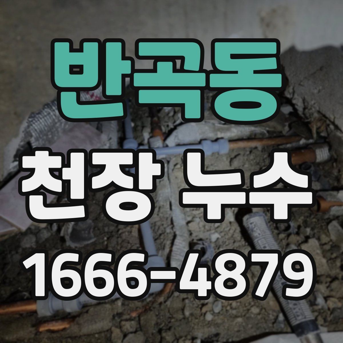 반곡동 천장 누수 얼룩이 보이면 복구보다 원인 확인이 먼저입니다
