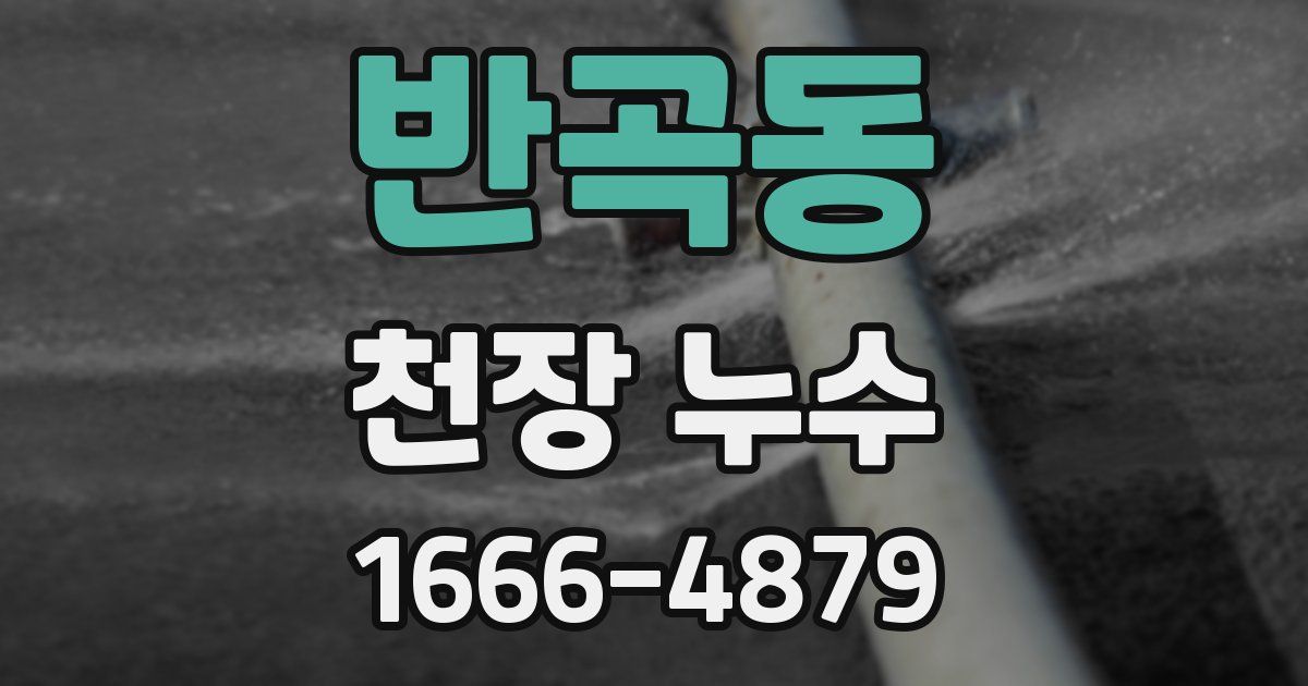 반곡동 천장 누수